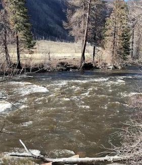 Bellvue House | Pet Friendly Fishing Cabin close to Poudre River, Perfect for a Weekend Escape from Fort Collins