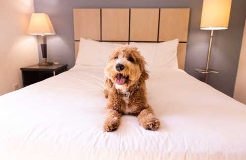 Braintree Hotel | Pet-Friendly Getaway in Boston | Kitchens & Laundry | South Shore Plaza
