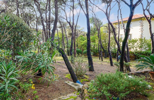 Quercianella House | Pet friendly home in Quercianella with WiFi