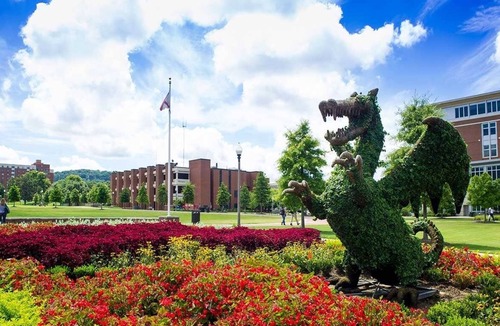 Five Points South Hotel | Pet-Friendly King Room at The Painted Lady! Free Parking, Close to McWane Center