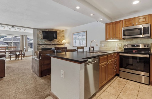 Copper Mountain Village Condo | Pet Friendly , Large Sleeping Capacity, Short walk to Lifts BE306B