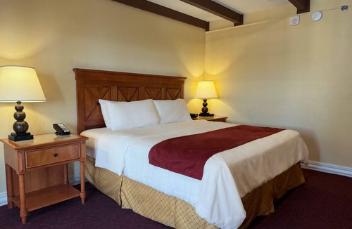 Western Division Hotel | Pet-Friendly Modern Stay in Laredo’s Historic Heart | Pool, Hot Tub & Gym Access
