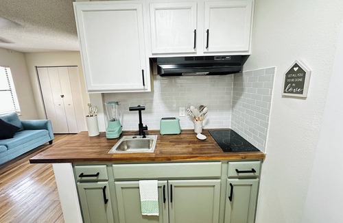 Spring Hill Apartment | Pet Friendly Studio with Private Patio