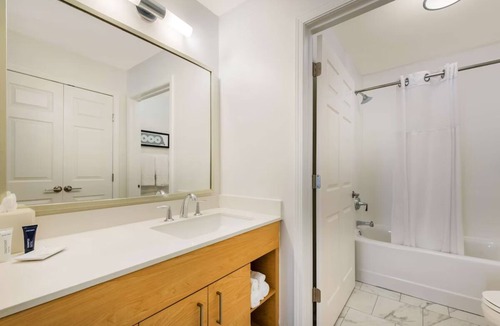 Arrowood Hotel | Pet-Friendly Suite Designed for Convenience Close to Charlotte's Top Spots