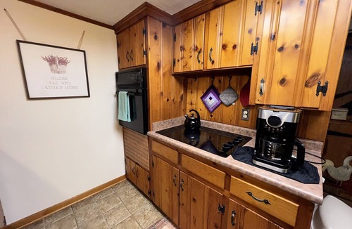 Lyndhurst Cabin | Pet Friendly Three Bedroom in Blue Ridge Mountains