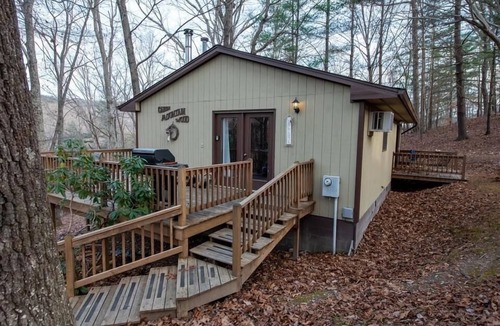 Lyndhurst Cabin | Pet Friendly Two Bedroom in Blue Ridge Mtns