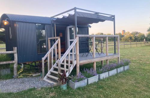 Dragey-Ronthon House | Petit Bijou