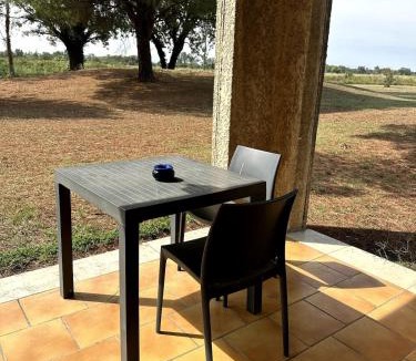 Arles Apartment | Petit cocon sur Arles