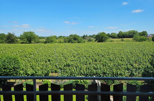 Edesheim House | Pfälzerglück - Spacious vacation home in the vineyards of the Southern Palatinate