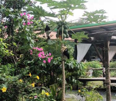 Ang Thong Other | PhaluayCamping