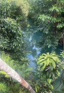 San Benito House | Philippine Mountain Eco Resort