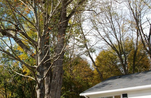 Andover House | Phillips Academy Area – Ideal for Families Visiting Campus & Touring New England