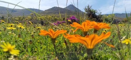 Stanford Ski Chalet | Phillipskop Eco-Chalets