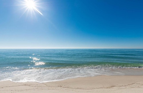 Orange Beach East Apartment | Phoenix X 310