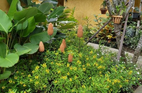 Doi Saket Resort | Phoo Na Resort