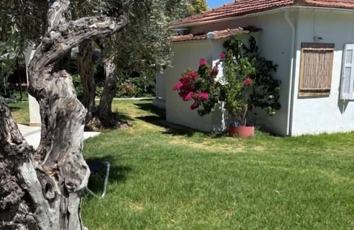 Skiathos Town Apartment | Physis Oikos Beachfront Apartments