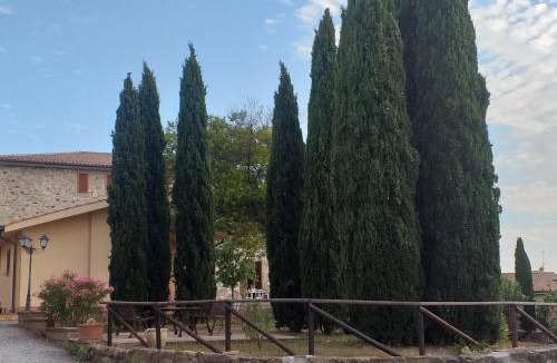 Pomaia House | PICCI HOUSE