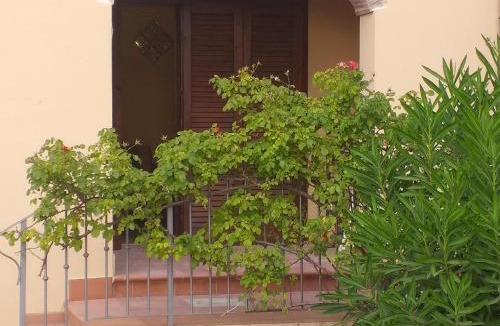 Pomaia House | PICCI HOUSE