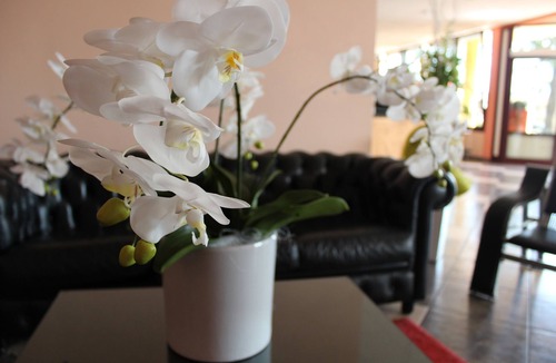 Nogara Hotel | Piccolo Hotel Nogara