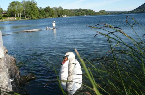Monate Bed & Breakfast | Piccolo Lago