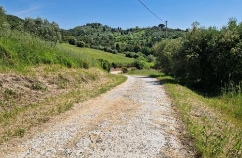Riparbella House | Piccolo Paradiso - Riparbella
