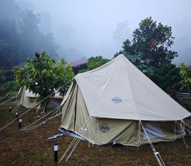 Phrae Other | Pick-A-Brew Camp