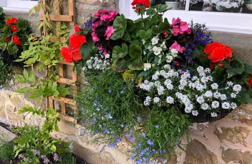 Wesham Bed & Breakfast | Picket Post House Accommodation