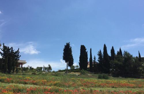 Sciacca Villa | Picturesque Villa in Sciacca with Sea View and Garden
