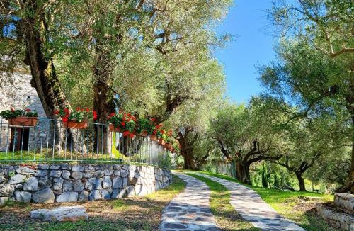 Bosco House | Pie' d'Ulivo