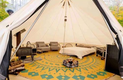 Petersburgh Other | Piebald Mountain Pet Friendly Tents, Petersburg, New York
