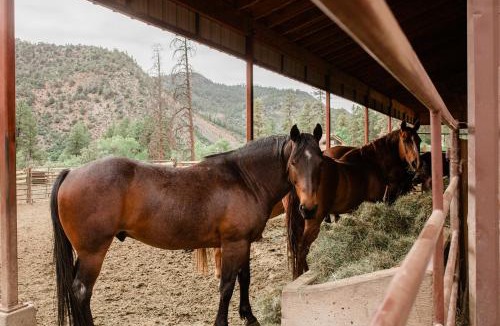 Bayfield House | Piedra River Outpost