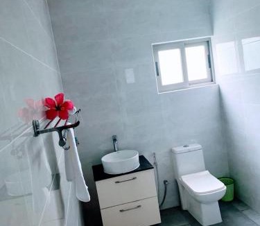 Anse La Mouche Apartment | PikBwa