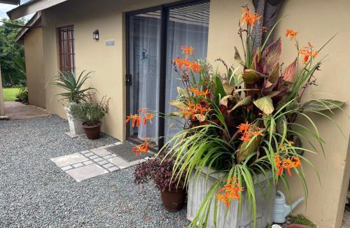 Hillcrest Apartment | PINE COTTAGE Self catering fully equipped 2 bedroom, Queen bed 3 singles 65sqm cosy private cottage