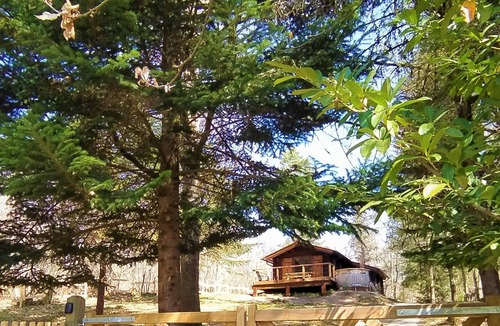 Saint-Germain-du-Salembre Ski Chalet | Pine Tree lodge and Nordic bath in the middle of the forest!