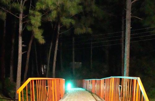 Kathua Hotel | Pine Hideout
