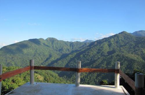 Blue Mountains National Park Other | Pine Ridge 4-Person Tent