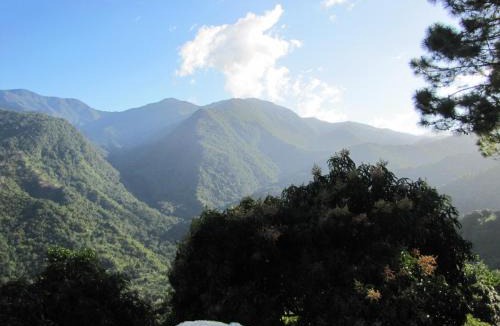 Blue Mountains National Park Other | Pine Ridge 4-Person Tent