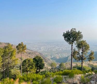 Hassan Abdal Cabin | Pine Tree Resort