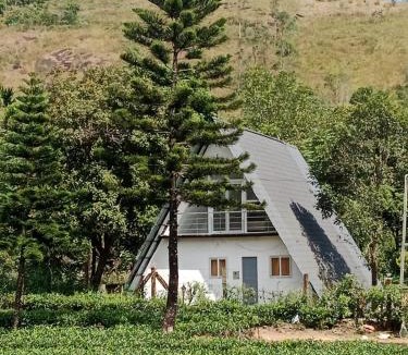 Elappara Ski Chalet | Pine Trees Gold