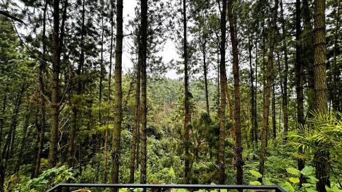 Sukapura Hotel | Pineforrest