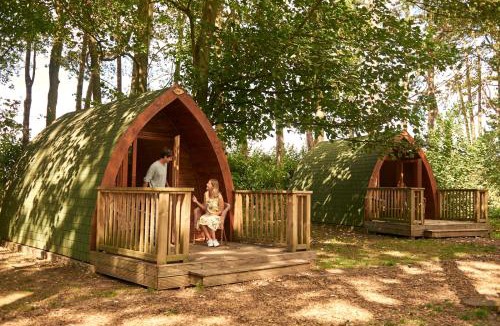 Hythe Other | Pinewood - At Port Lympne Hotel & Reserve