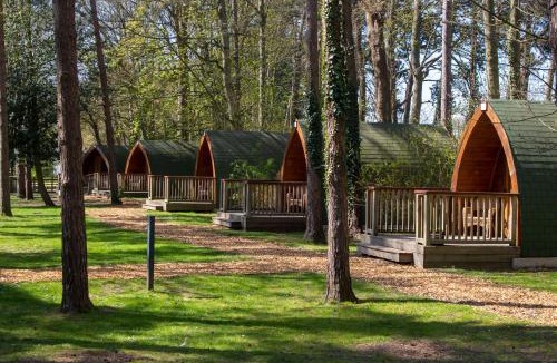Hythe Other | Pinewood - At Port Lympne Hotel & Reserve