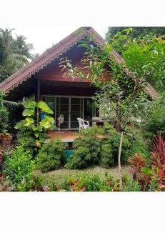 Ko Kood Ski Chalet | Pink Kangaroo Bungalows