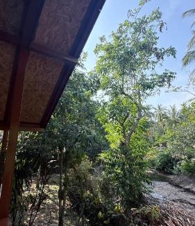 Ko Kood Ski Chalet | Pink Kangaroo Bungalows