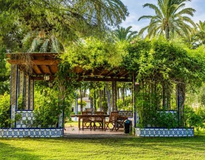 Elche Bed & Breakfast | Pink Lemon House
