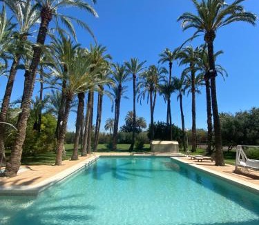 Elche Bed & Breakfast | Pink Lemon House