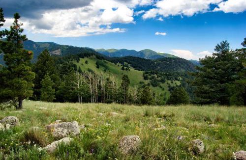Ruidoso House | Pinon Park A2