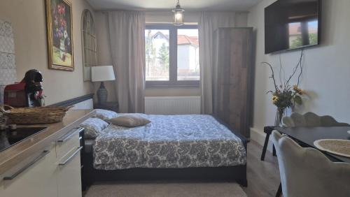 Pipera Apartment | Pipera Studio Apartment