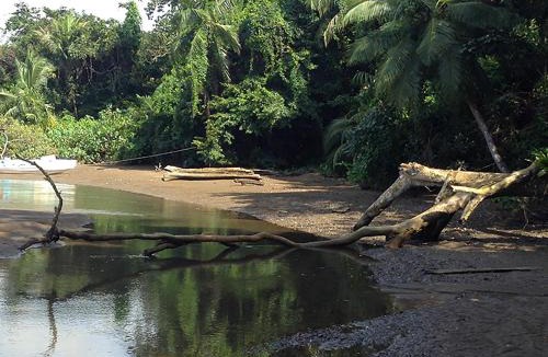 Drake Bay Hotel | Pirate Cove