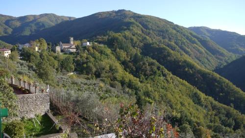 Lugliano Villa | piscina con vista